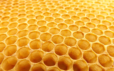 Benefits of CBD Honey