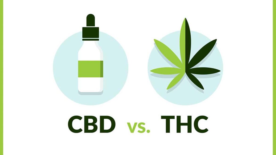 CBD vs THC: Key Differences & Which is More Safe and Effective?